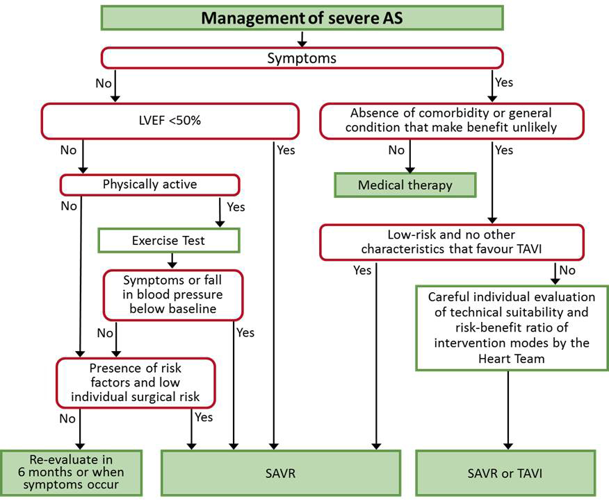 what-is-new-for-general-cardiologists-in-the-2017-esc-guidelines-on